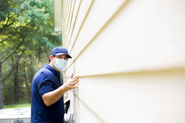 Best Vinyl Siding Installation  in Lonsdale, MN